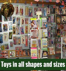 Sex Toys More in Peoria IL The Green Door Video Erotic Boutique